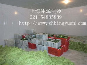 陜西果蔬冷庫報(bào)價(jià)