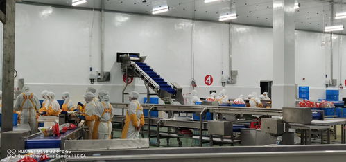 新時期中國物流冷庫項目 庫體保溫 制冷系統(tǒng)設(shè)計與設(shè)備選擇